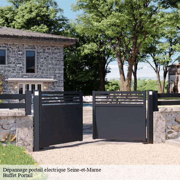 depannage-portail-electrique-77-1