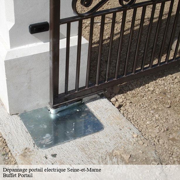 depannage-portail-electrique-77-4