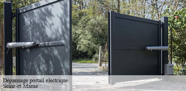 depannage-portail-electrique-77-5