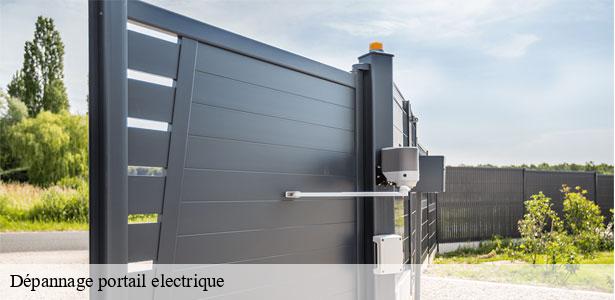 depannage-portail-electrique-77-6