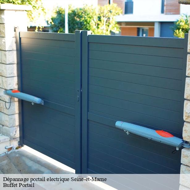 depannage-portail-electrique-77-7
