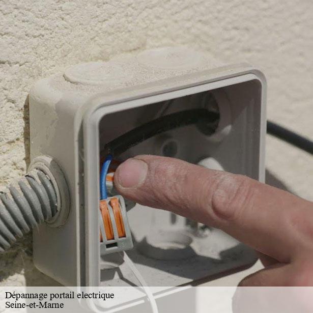 depannage-portail-electrique-77-8