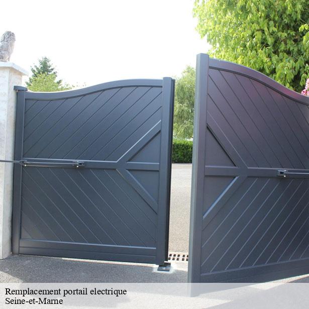 remplacement-portail-electrique-77-2