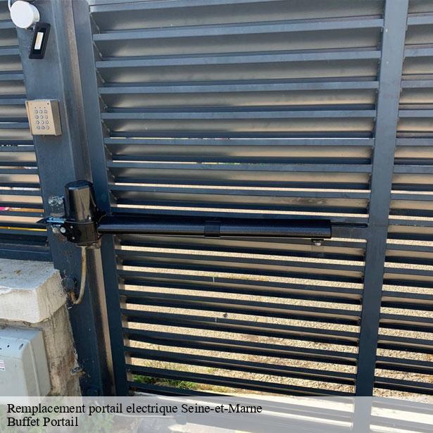 remplacement-portail-electrique-77-4