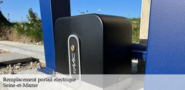 remplacement-portail-electrique-77-5