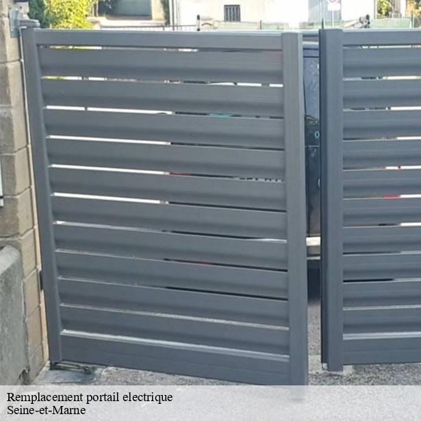 remplacement-portail-electrique-77-8