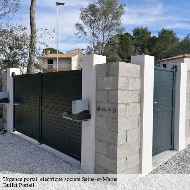 urgence-portail-electrique-societe-77-1