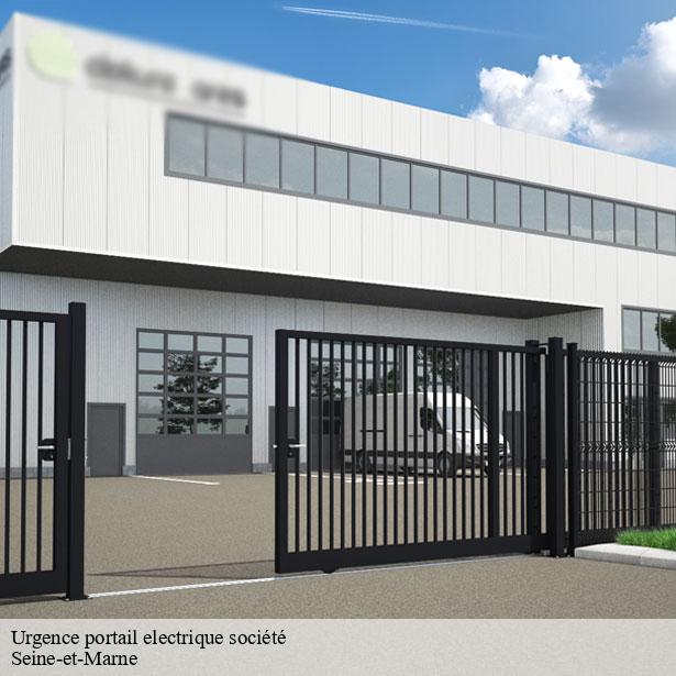 urgence-portail-electrique-societe-77-2