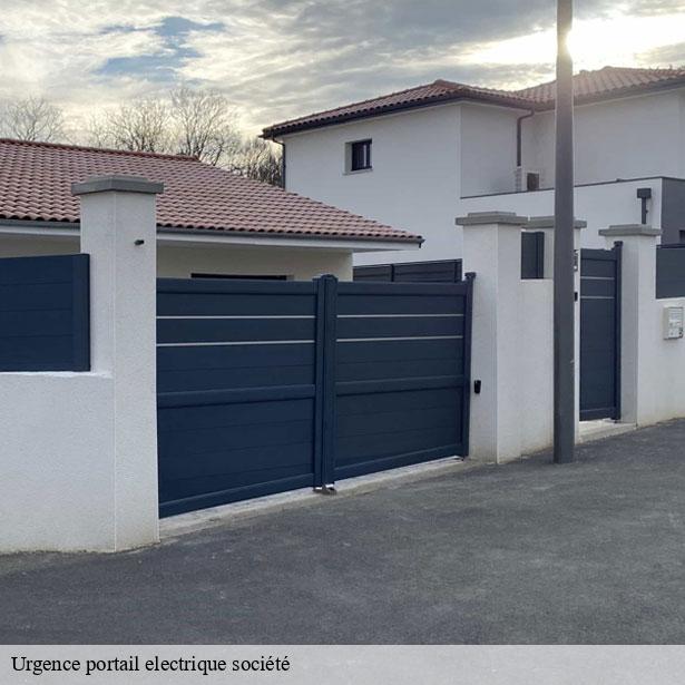 urgence-portail-electrique-societe-77-3