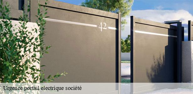 urgence-portail-electrique-societe-77-6