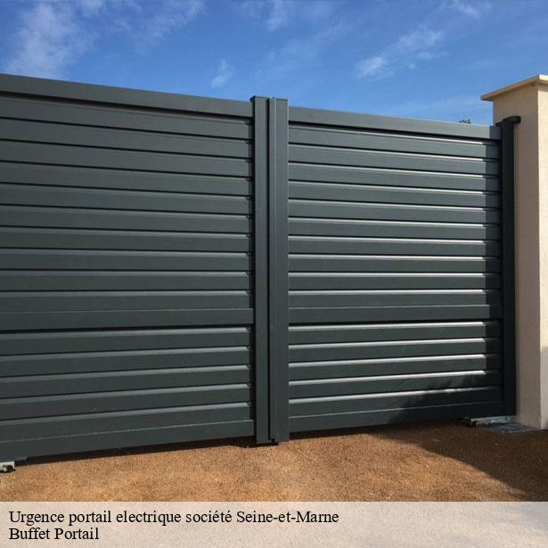 urgence-portail-electrique-societe-77-7
