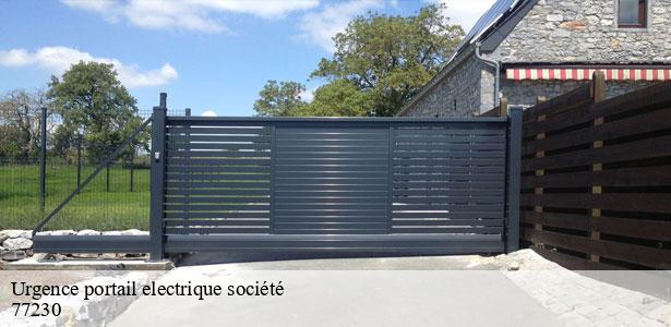 urgence-portail-electrique-societe-par-un-professionnel-moussy-le-neuf-77230-5