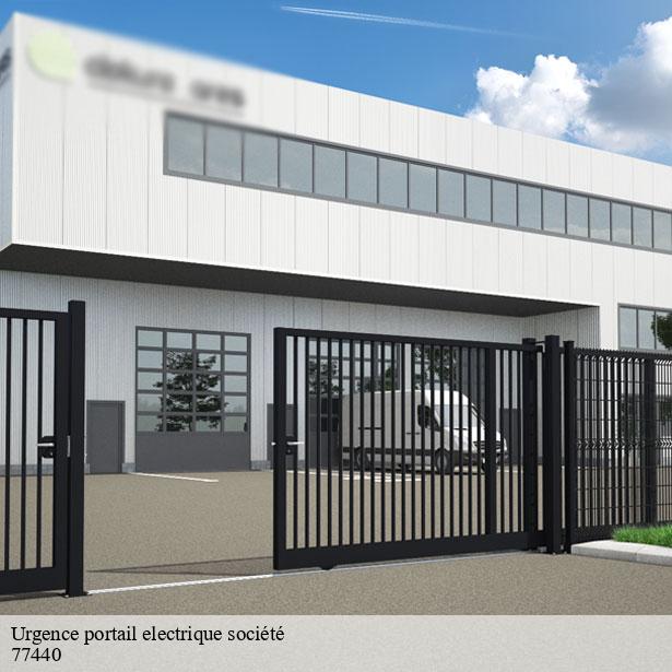 urgence-portail-electrique-societe-par-un-professionnel-ocquerre-77440-2