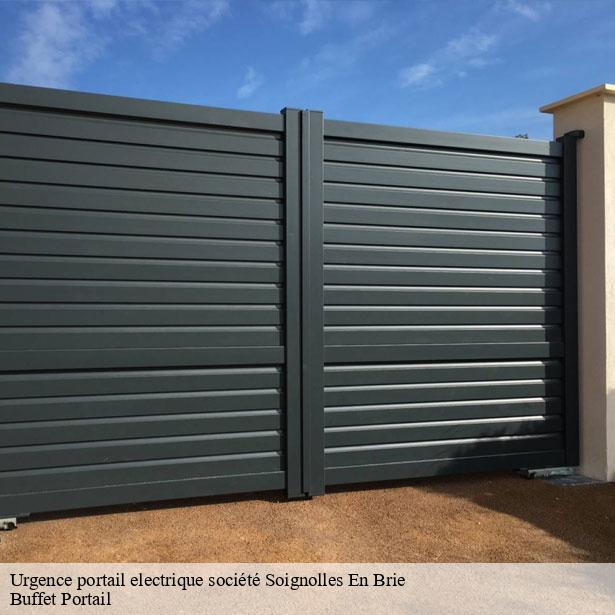 urgence-portail-electrique-societe-par-un-professionnel-soignolles-en-brie-77111-7