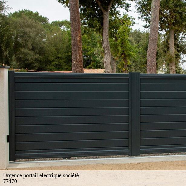 urgence-portail-electrique-societe-par-un-professionnel-trilport-77470-8