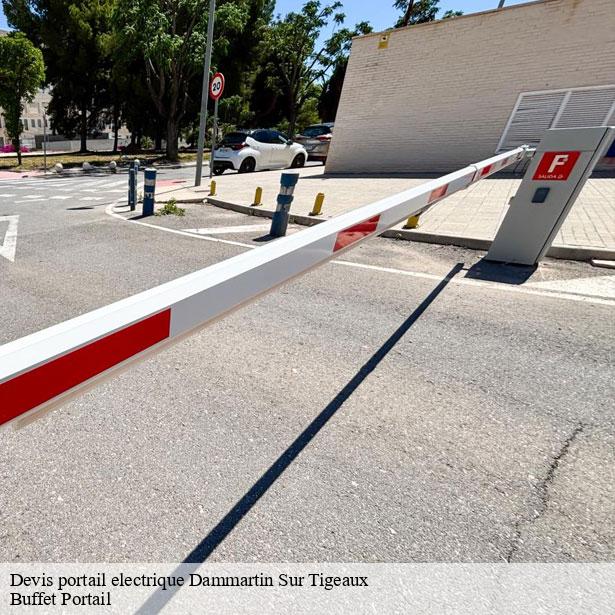 devis-portail-electrique-par-une-entreprise-specialisee-dammartin-sur-tigeaux-77163-7