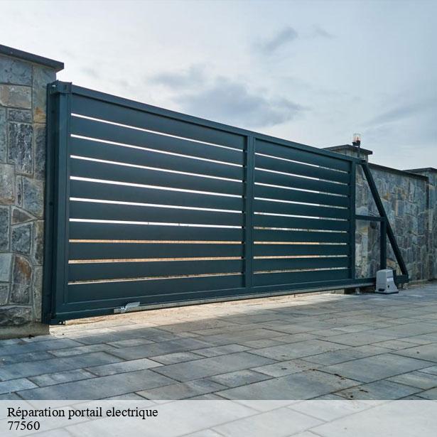 reparation-portail-electrique-par-un-professionnel-courchamp-77560-2