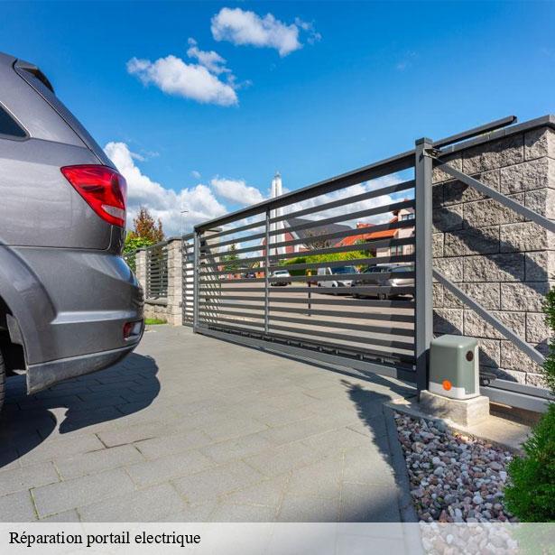 reparation-portail-electrique-par-un-professionnel-courchamp-77560-3