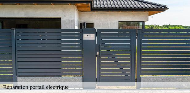 reparation-portail-electrique-par-un-professionnel-courchamp-77560-6