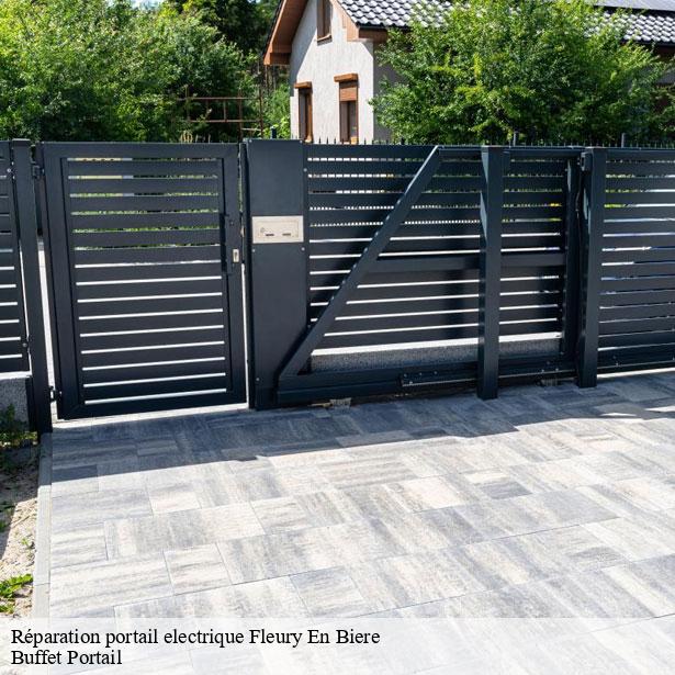 reparation-portail-electrique-par-un-professionnel-fleury-en-biere-77930-7