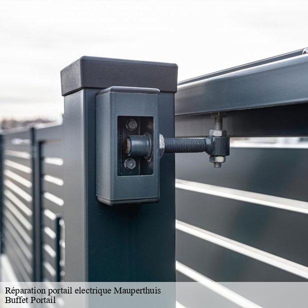 reparation-portail-electrique-par-un-professionnel-mauperthuis-77120-4