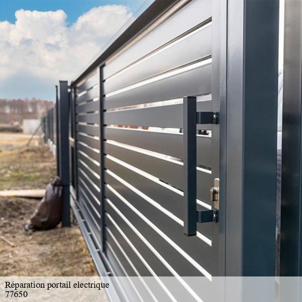 reparation-portail-electrique-par-un-professionnel-saint-loup-de-naud-77650-8