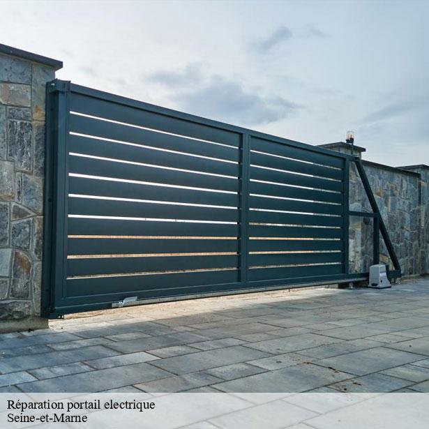 reparation-portail-electrique-par-un-professionnel-marne-la-vallee-77420-2