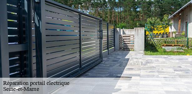 reparation-portail-electrique-par-un-professionnel-marne-la-vallee-77420-5
