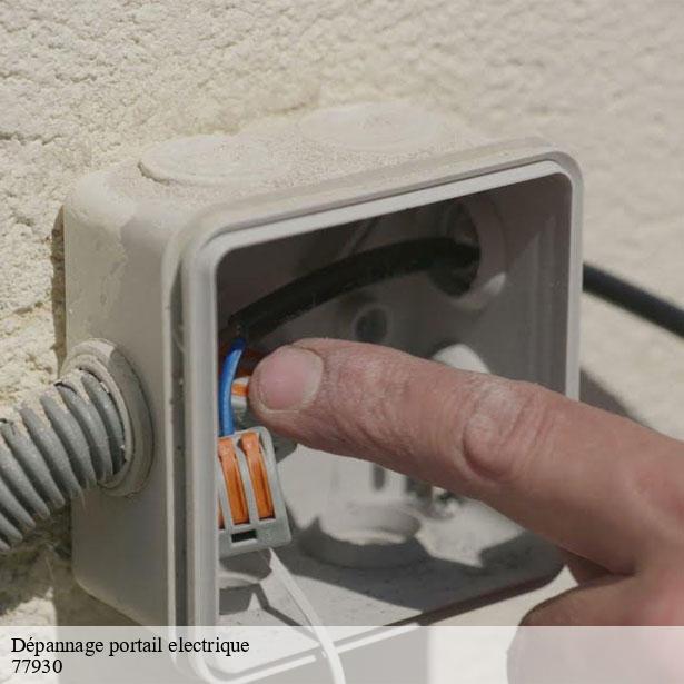 depannage-portail-electrique-a-toute-heure-chailly-en-biere-77930-8