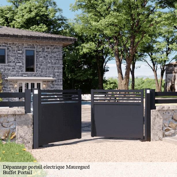 depannage-portail-electrique-a-toute-heure-mauregard-77990-1