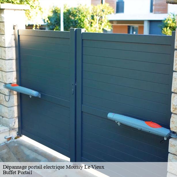 depannage-portail-electrique-a-toute-heure-moussy-le-vieux-77230-7