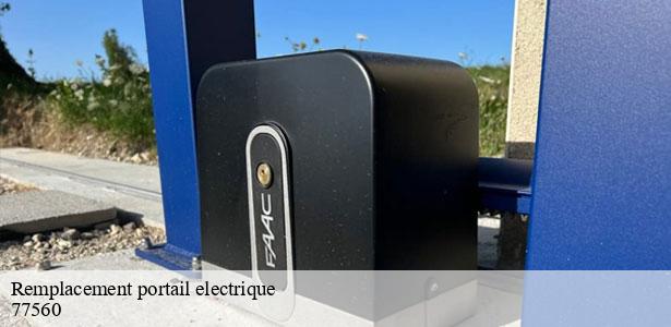 remplacement-portail-electrique-sur-mesure-courchamp-77560-5